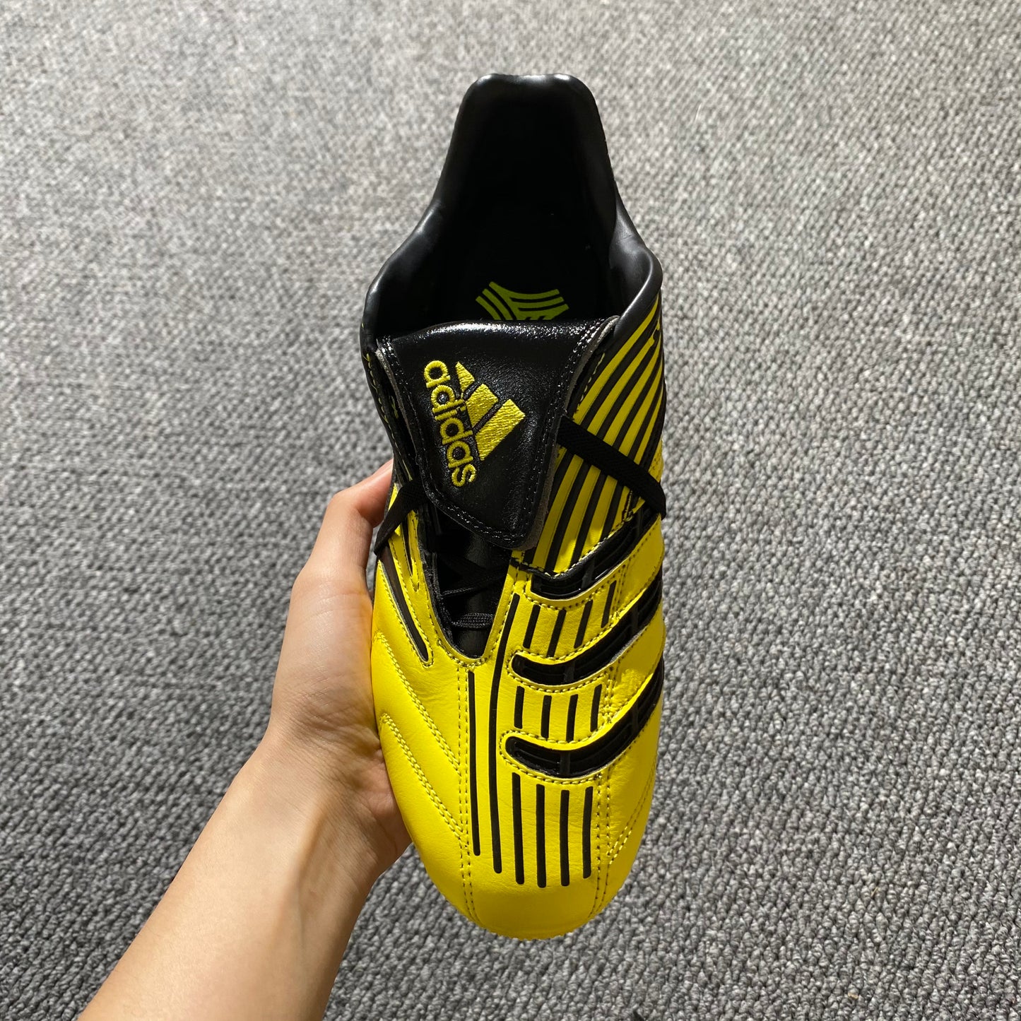 ABSOLUTE
