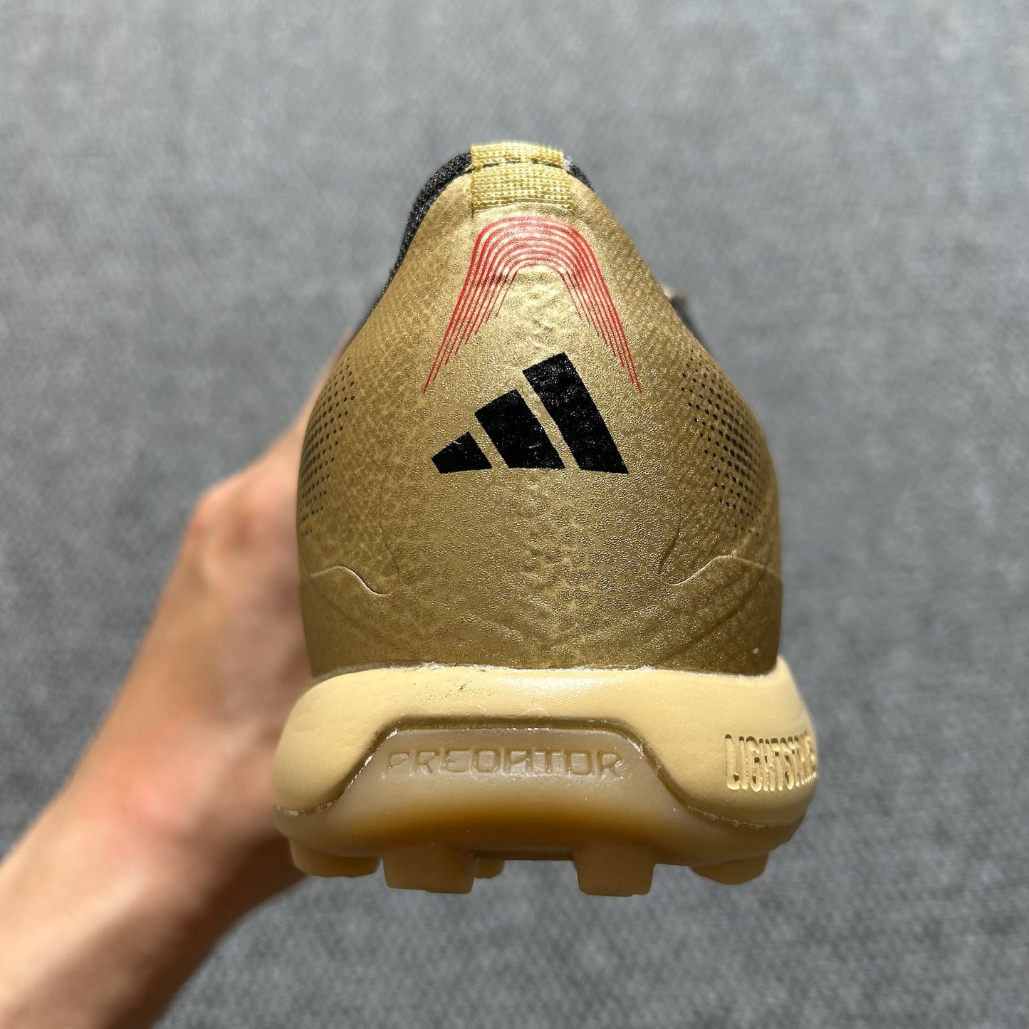 PREDATOR TF
